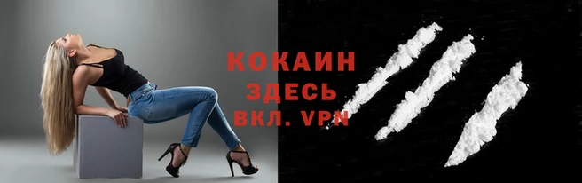 не бодяженный Волосово